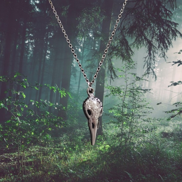 Steel Raven Skull w/ Chain - Picture 2 of 2